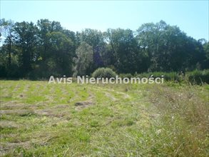 sprzedam działkę Świdnica sprzedam działkę Świdnica