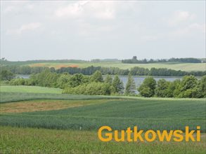 sprzedam działkę Podlasek Mały Gm. Biskupiec sprzedam działkę Podlasek Mały Gm. Biskupiec
