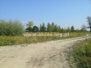 sprzedam działkę Pniewo-Czeruchy sprzedam działkę Pniewo-Czeruchy