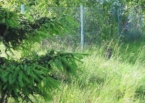 sprzedam działkę Poznań Jeżyce sprzedam działkę Poznań Jeżyce