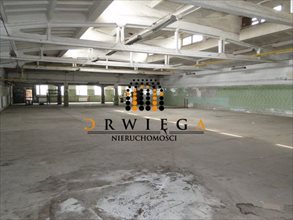 wynajmę magazyn Gorzów Wielkopolski wynajmę magazyn Gorzów Wielkopolski