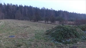 sprzedam działkę Rędocin sprzedam działkę Rędocin