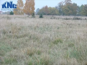 sprzedam działkę Rasy, Bełchatów sprzedam działkę Rasy, Bełchatów