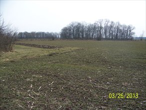 Działka na sprzedaż Żórawina Działka na sprzedaż Żórawina