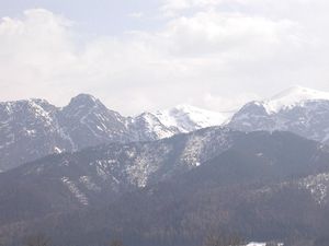 sprzedam działkę Zakopane Kościelisko sprzedam działkę Zakopane Kościelisko
