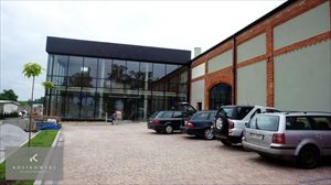 Lokal użytkowy do wynajęcia Namysłów 