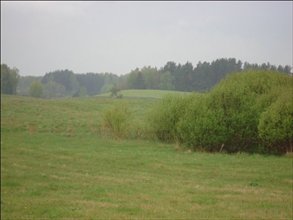 sprzedam działkę Suryty Suryty sprzedam działkę Suryty Suryty