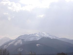 sprzedam działkę Zakopane Kościelisko sprzedam działkę Zakopane Kościelisko