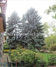 sprzedam dom Łódź Bałuty sprzedam dom Łódź Bałuty