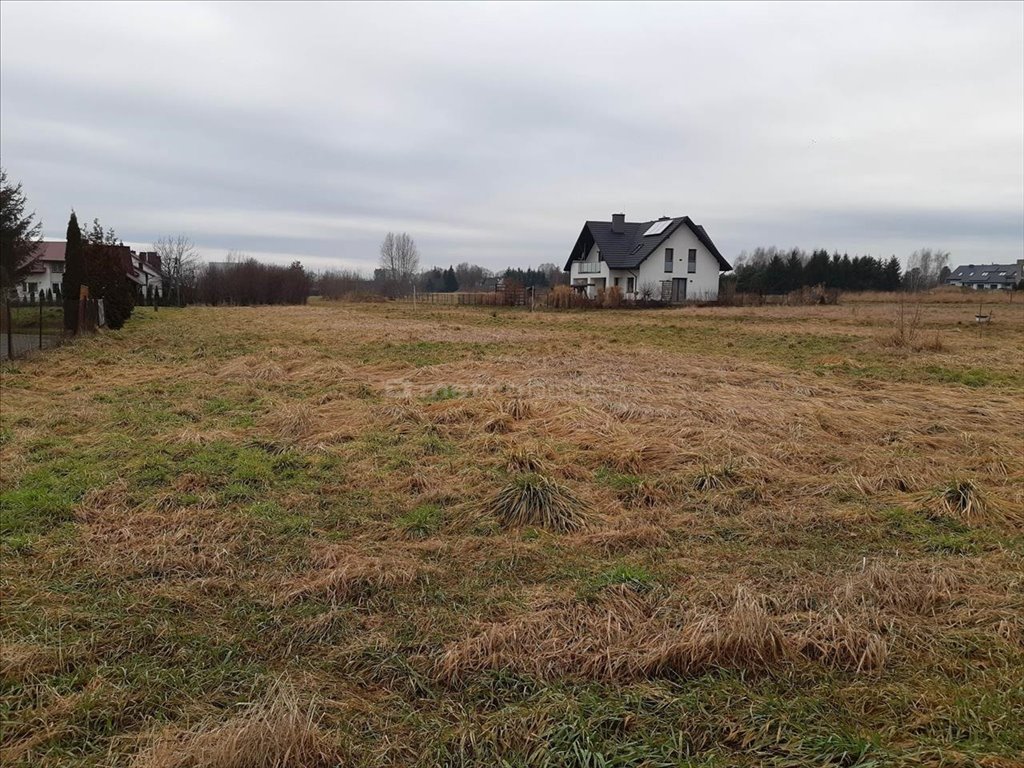 Sprzedam działkę Krasne Krasne 1135 m2 250000 PLN Domiporta pl