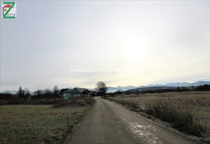 sprzedam działkę CHOCHOŁÓW sprzedam działkę CHOCHOŁÓW