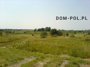 sprzedam działkę Zamość sprzedam działkę Zamość