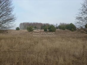 sprzedam działkę Ogrodniki Barszczewskie sprzedam działkę Ogrodniki Barszczewskie