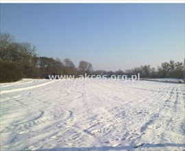 sprzedam działkę Kosewo sprzedam działkę Kosewo