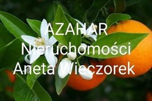 sprzedam działkę Poddębice sprzedam działkę Poddębice