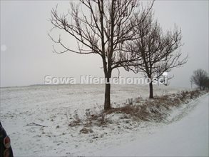 sprzedam działkę Jabłów sprzedam działkę Jabłów