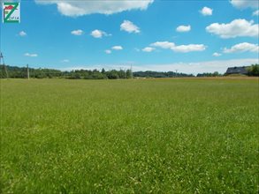 sprzedam działkę JORDANÓW sprzedam działkę JORDANÓW