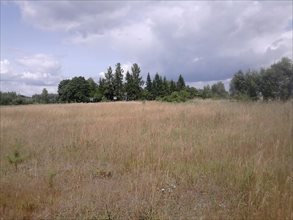 sprzedam działkę Łazy sprzedam działkę Łazy