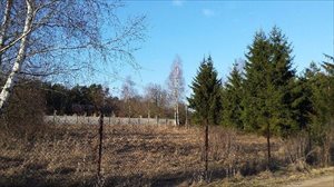 sprzedam działkę Kościuki sprzedam działkę Kościuki