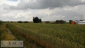 sprzedam działkę Kalisz sprzedam działkę Kalisz