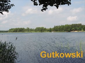sprzedam działkę Podlasek Mały sprzedam działkę Podlasek Mały