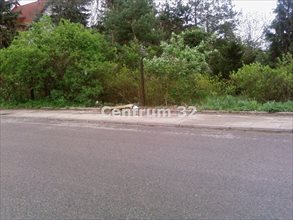 sprzedam działkę Łomianki Łomianki Górne sprzedam działkę Łomianki Łomianki Górne