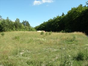 sprzedam działkę Gdynia Orłowo sprzedam działkę Gdynia Orłowo