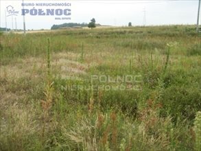 sprzedam działkę Żółtki sprzedam działkę Żółtki