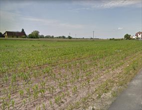 sprzedam działkę Opole Malina sprzedam działkę Opole Malina