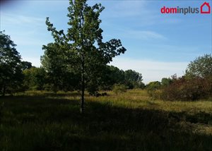 sprzedam działkę Toruń sprzedam działkę Toruń