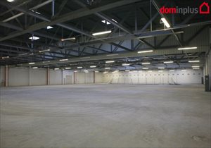 wynajmę lokal użytkowy Toruń wynajmę lokal użytkowy Toruń
