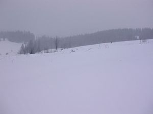 sprzedam działkę Zakopane Gliczarów Górny sprzedam działkę Zakopane Gliczarów Górny