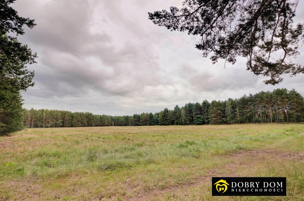 Zapraszam do zakupu terenu 22 187 m² w Karakułach Karakule  22 187m2 Foto 1
