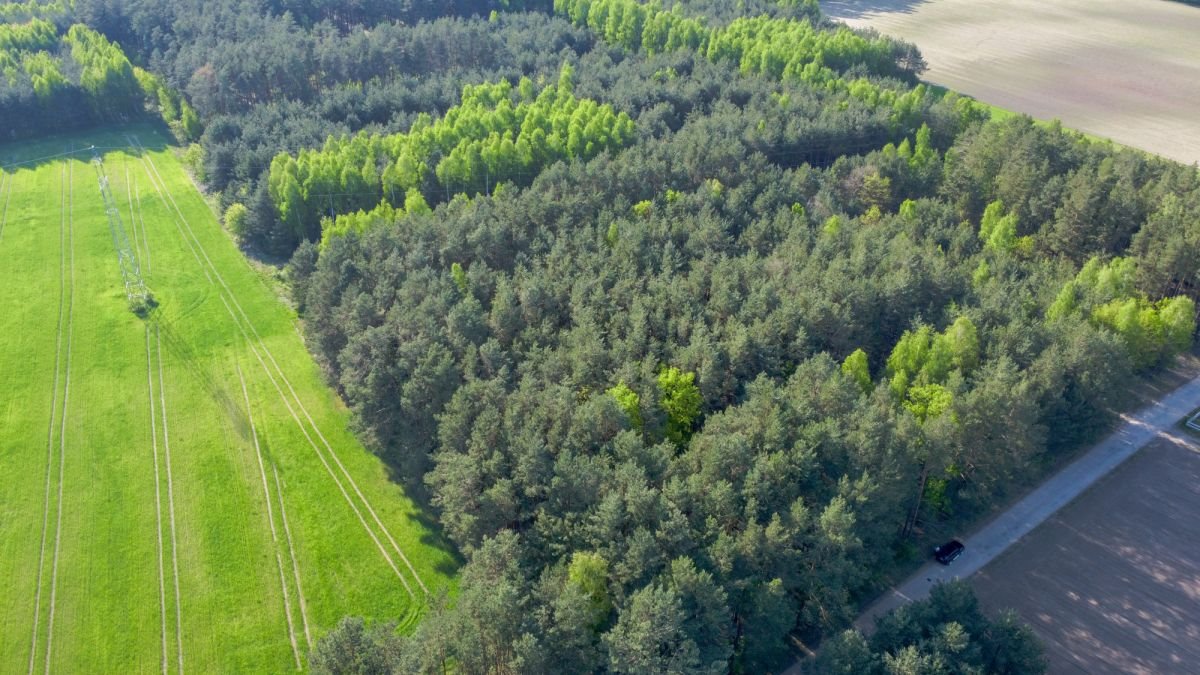 Działka rekreacyjna na sprzedaż Nowe Bosewo, Lipnik  1 245m2 Foto 11