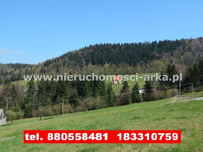 Działka budowlana na sprzedaż Dobra 4 600m2 Foto 1 Działka budowlana na sprzedaż Dobra 4 600m2 Foto 1