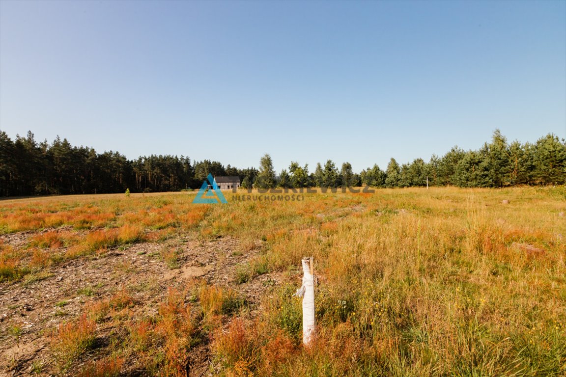 Działka budowlana na sprzedaż Kowalewo, Smolna  1 017m2 Foto 4