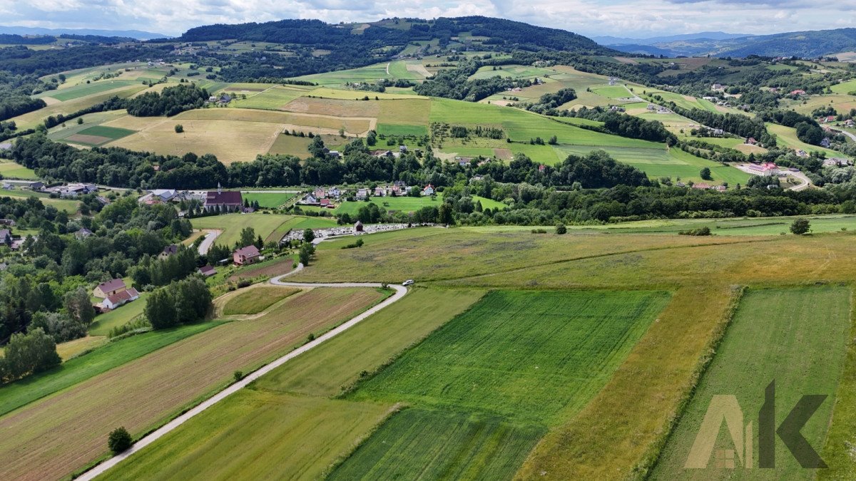 Działka budowlana na sprzedaż Sienna  3 100m2 Foto 5