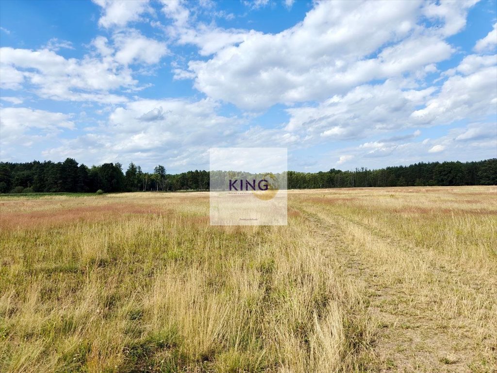 Działka rolna na sprzedaż Stolec  51 500m2 Foto 1