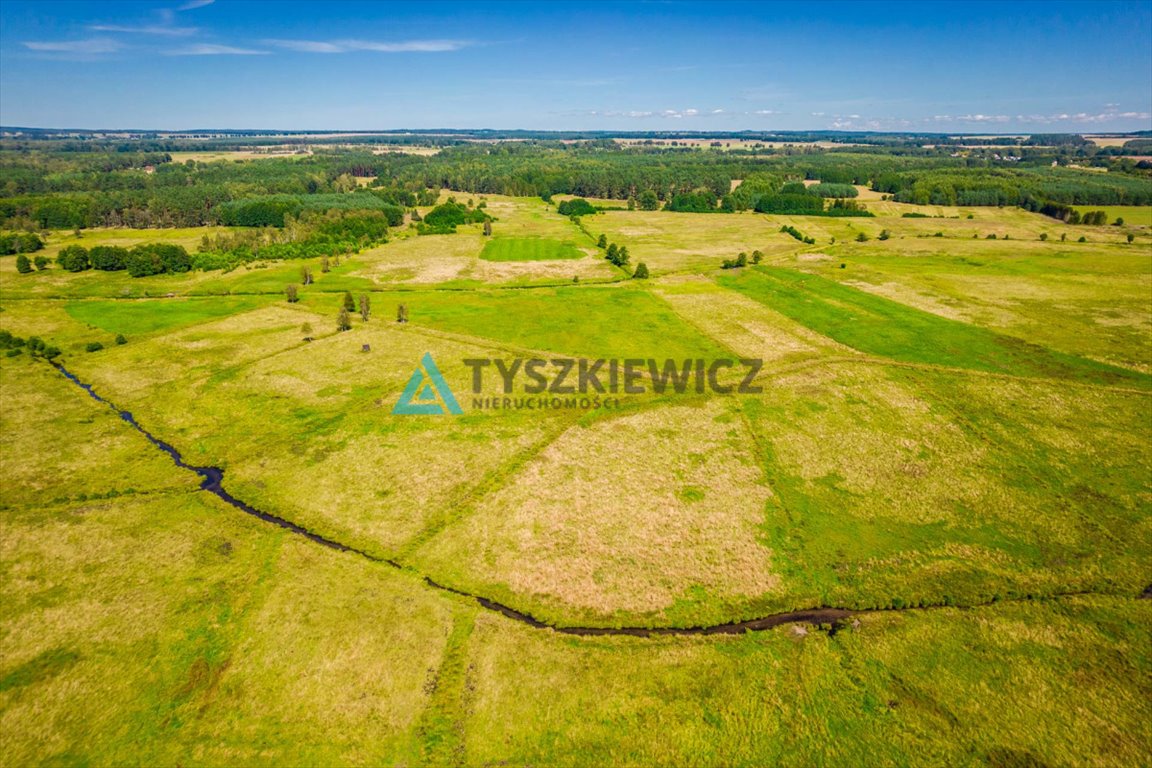 Działka rolna na sprzedaż Poborowo  9 200m2 Foto 3