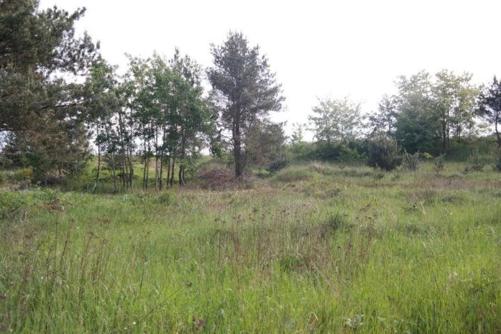 Działka budowlana 840 m² z mediami, blisko Opola Górki  840m2 Foto 1