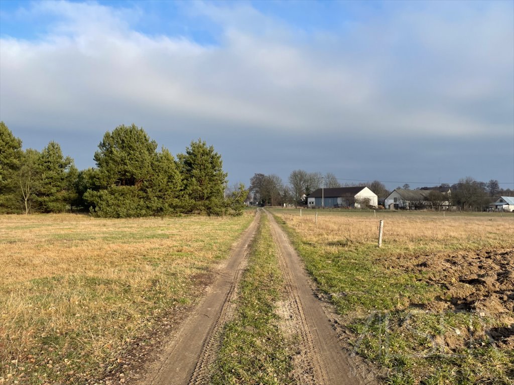 Działka rolna na sprzedaż Laskowizna  15 000m2 Foto 5