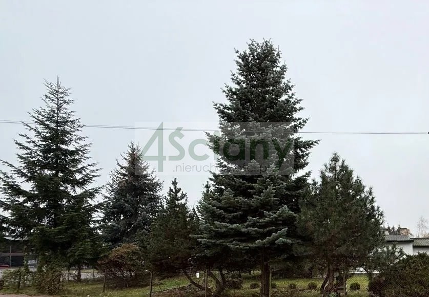 Działka budowlana na sprzedaż Grodzisk Mazowiecki  859m2 Foto 1