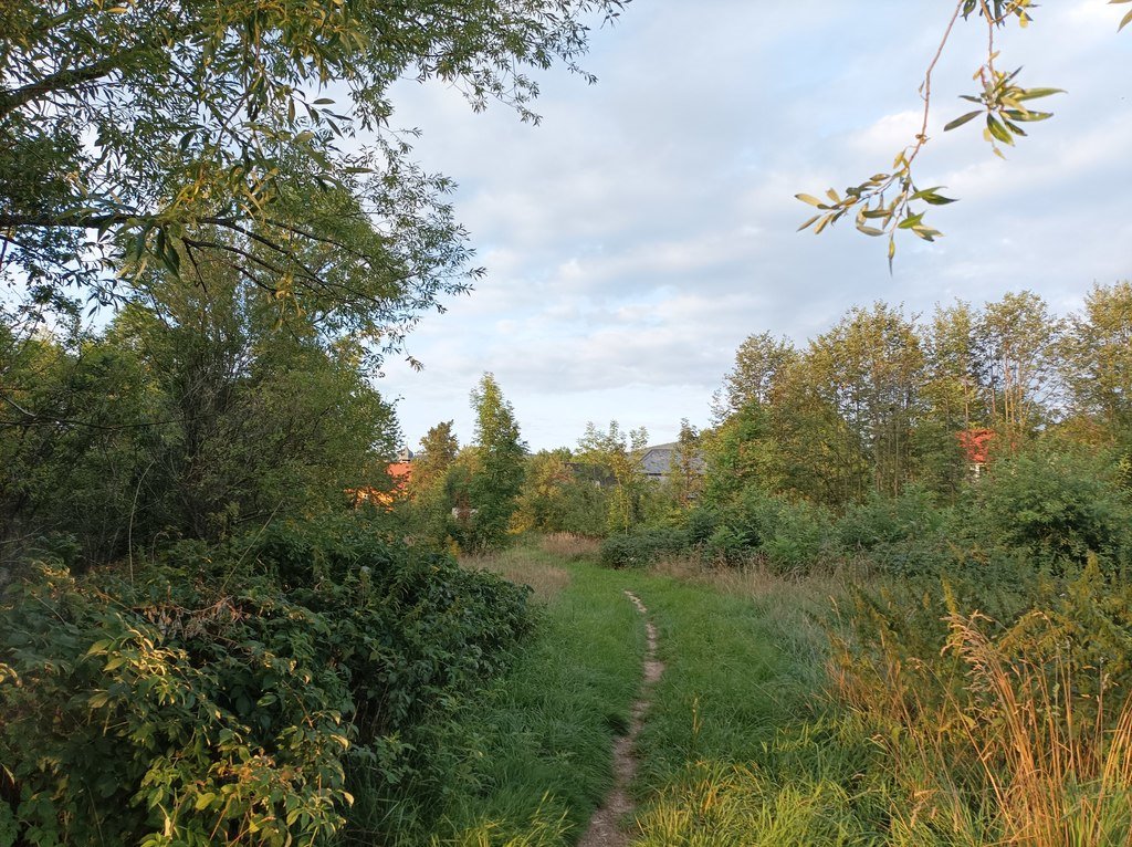 Działka budowlana na sprzedaż Kowary, Czesława Miłosza  801m2 Foto 3