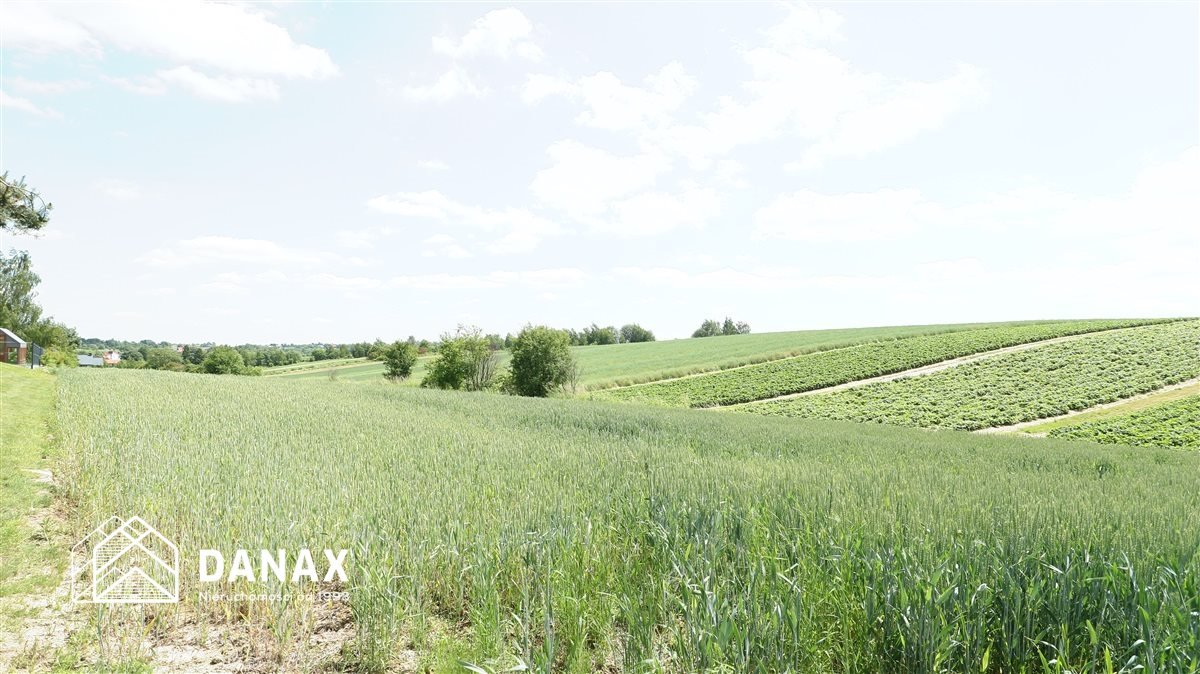 Polecam działkę 43 arów z pozwoleniem na dom i garaż Cianowice  4 300m2 Foto 1