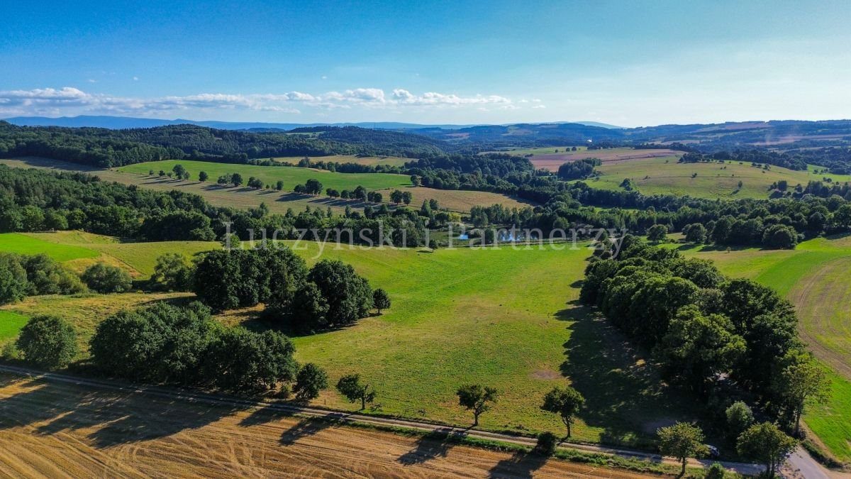 Działka siedliskowa na sprzedaż Dębowy Gaj  34 741m2 Foto 1