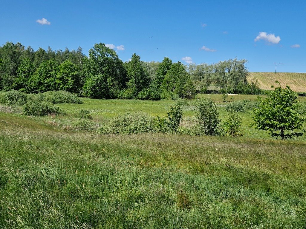 Działka budowlana na sprzedaż Szarłata, Spadzista  15 977m2 Foto 17