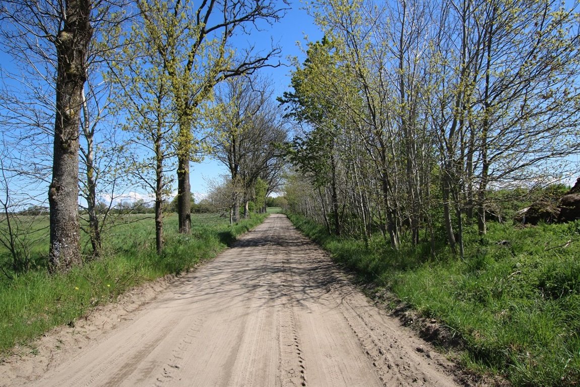 Działka rolna na sprzedaż Rzuski Las, Rzuski Las  5 008m2 Foto 5