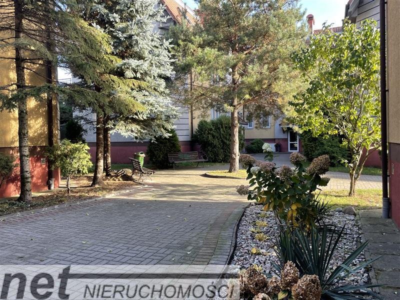 Mieszkanie dwupokojowe na wynajem Pruszcz Gdański, Chełmońskiego  53m2 Foto 1