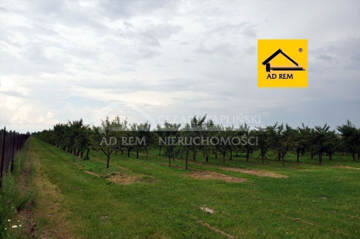 Polecam działkę 9893 m² z uzbrojeniem i drzewami owocowymi Sławacinek Nowy  9 893m2 Foto 1