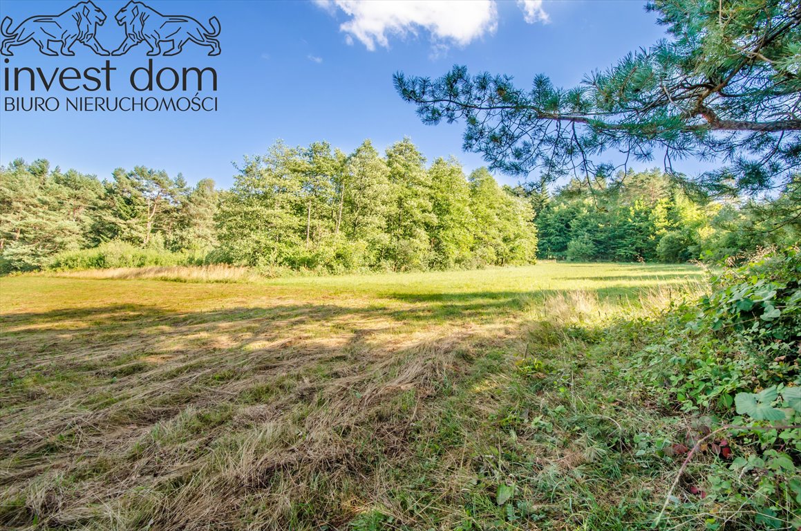 Zapraszam do zakupu działki 15 377 m² w Kunkowej z panoramicznym widokiem Kunkowa  15 377m2 Foto 1